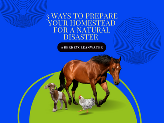 Three Ways to Prepare Your Homestead for a Natural Disaster