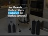 Are Phoenix Berkey Filters Endorsed for Berkey Systems? What Every Owner Should Know