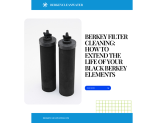 Berkey Filter Cleaning Tutorial