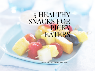 5 Healthy Snacks for Picky Eaters