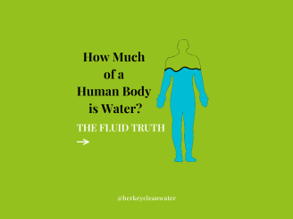How Much of a Human Body Is Water? 60% Isn't the Whole Story