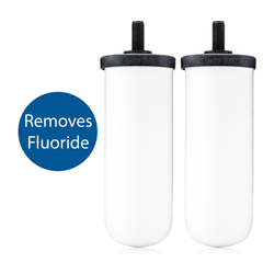 Doulton British Berkefeld Fluoride