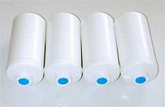 Berkey PF4 Fluoride and Arsenic Elements
